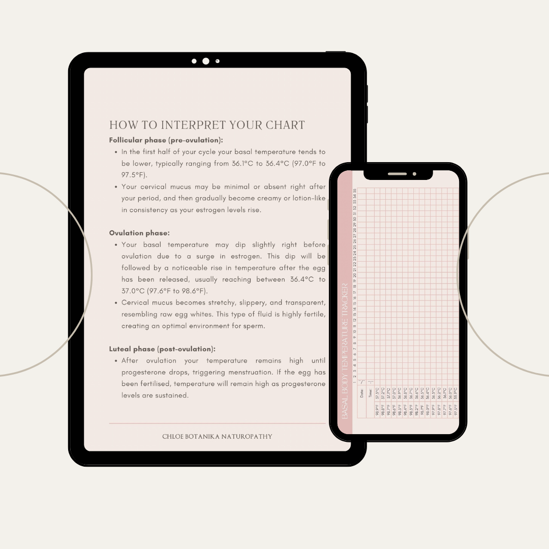 The Hormone Health E-book