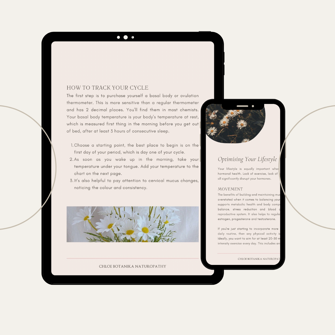 The Hormone Health E-book