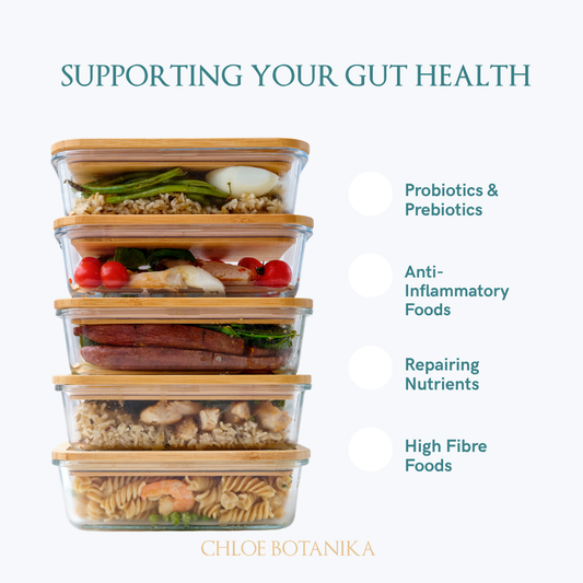Gut Health Support Meal Plan 7-day