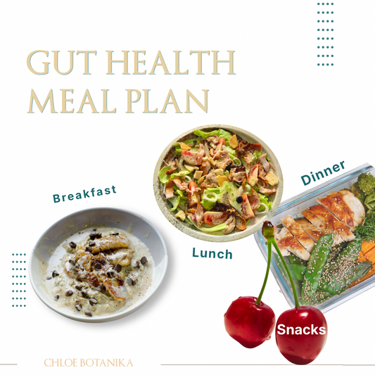 Gut Health Support Meal Plan 7-day