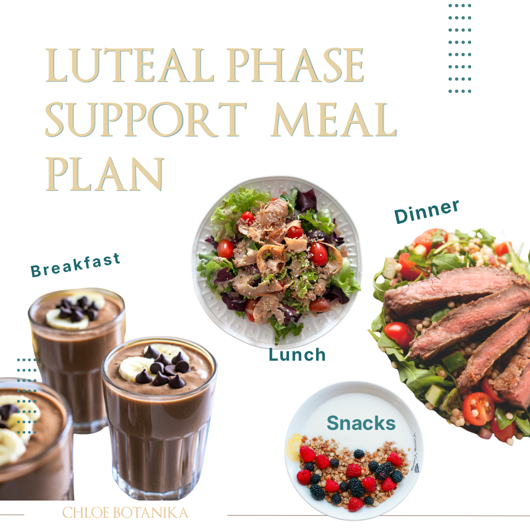 Luteal Phase Meal Plan for Hormone & Blood Sugar Balance